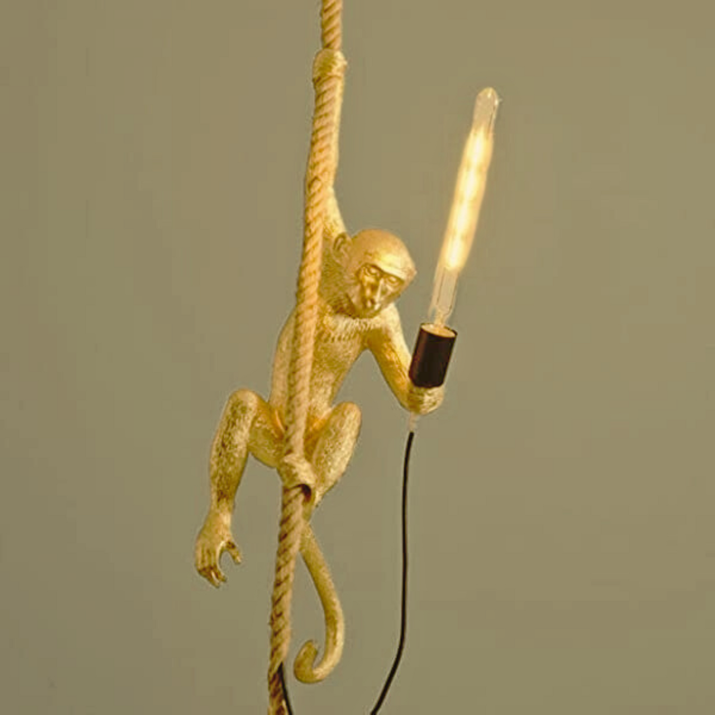 Stylish Modern Hanging Art Monkey Lamp