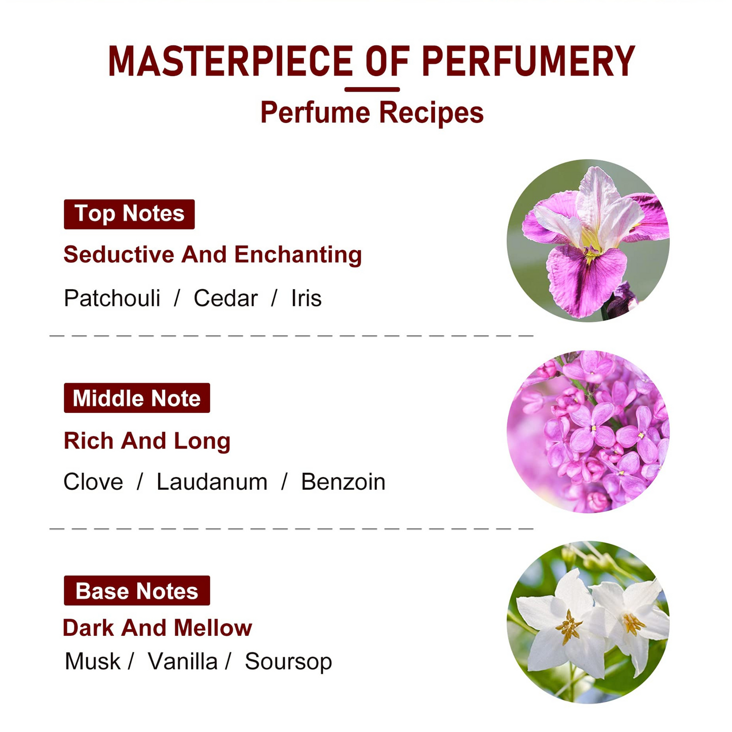 Cocovel Grasse Conditioner: Protect Your Hair Naturally